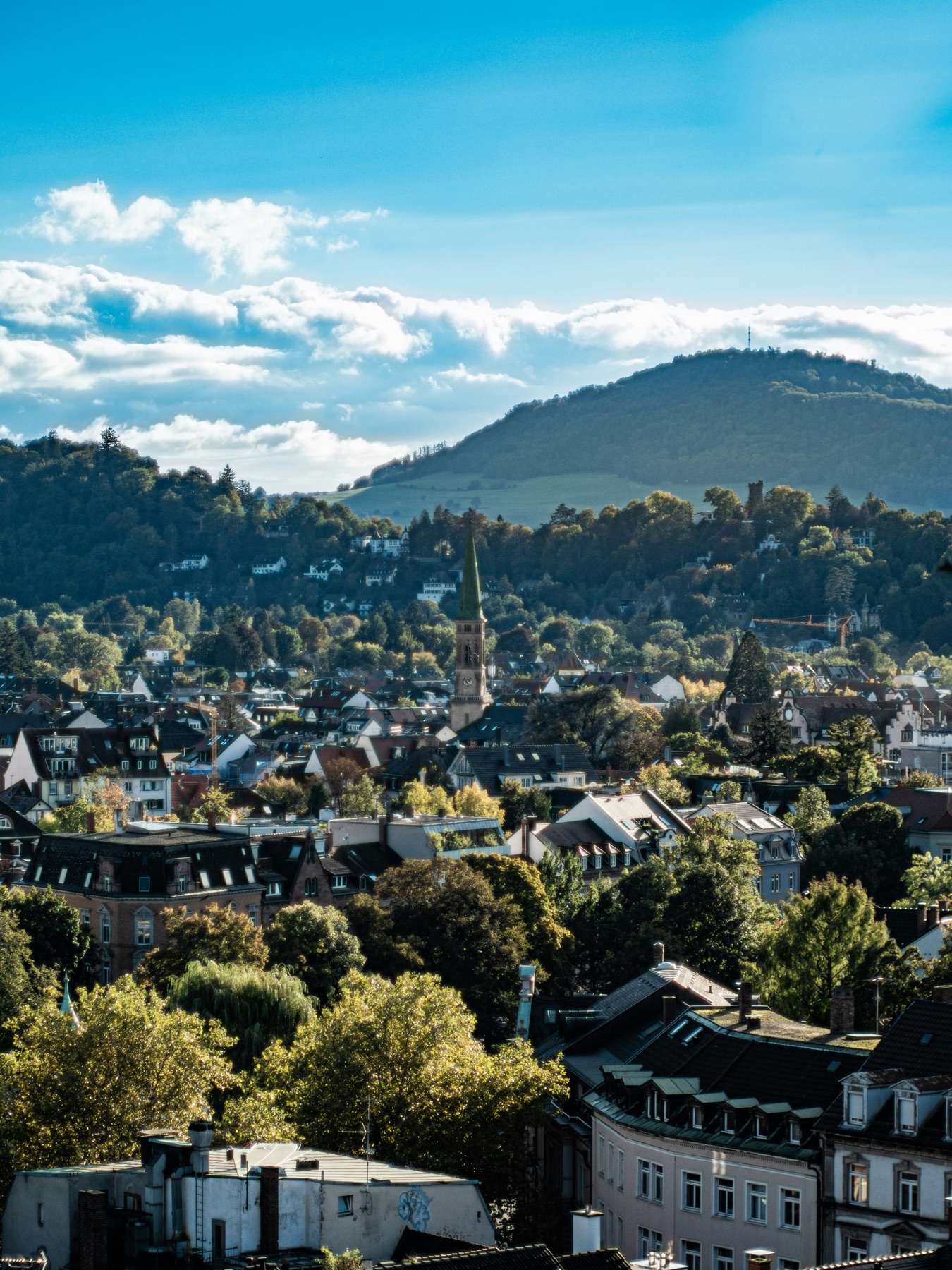Stadtpanorama Freiburg im Breisgau